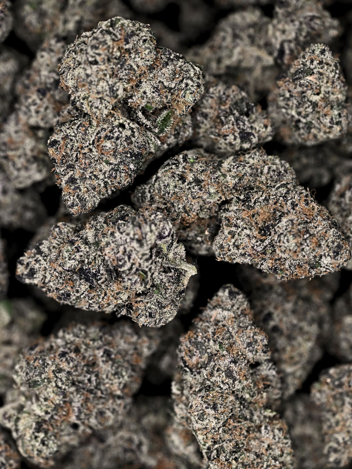 Death Star Indoor Living Soil Exotic THCa Flower August Cannabis Club