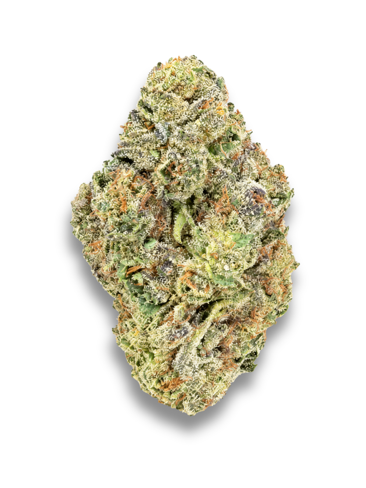 Devil's Mistress Greenhouse THCa Flower August Cannabis Club