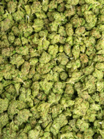 Dolce Gelato Greenhouse Smalls Hybird August Cannabis Club THCA Flower