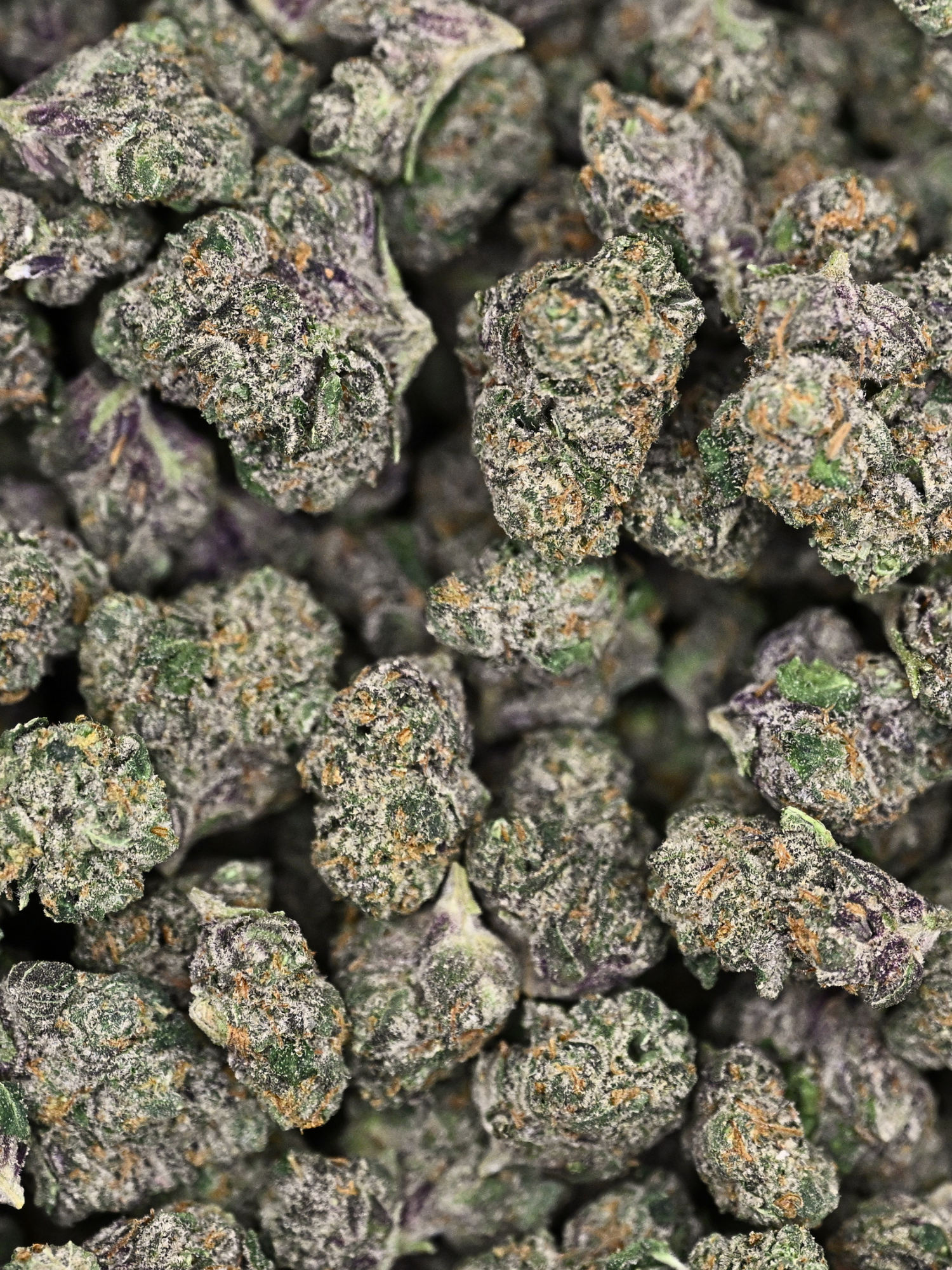 Electric Kool-Aid Exotic Smalls August Cannabis Club THCA Flower