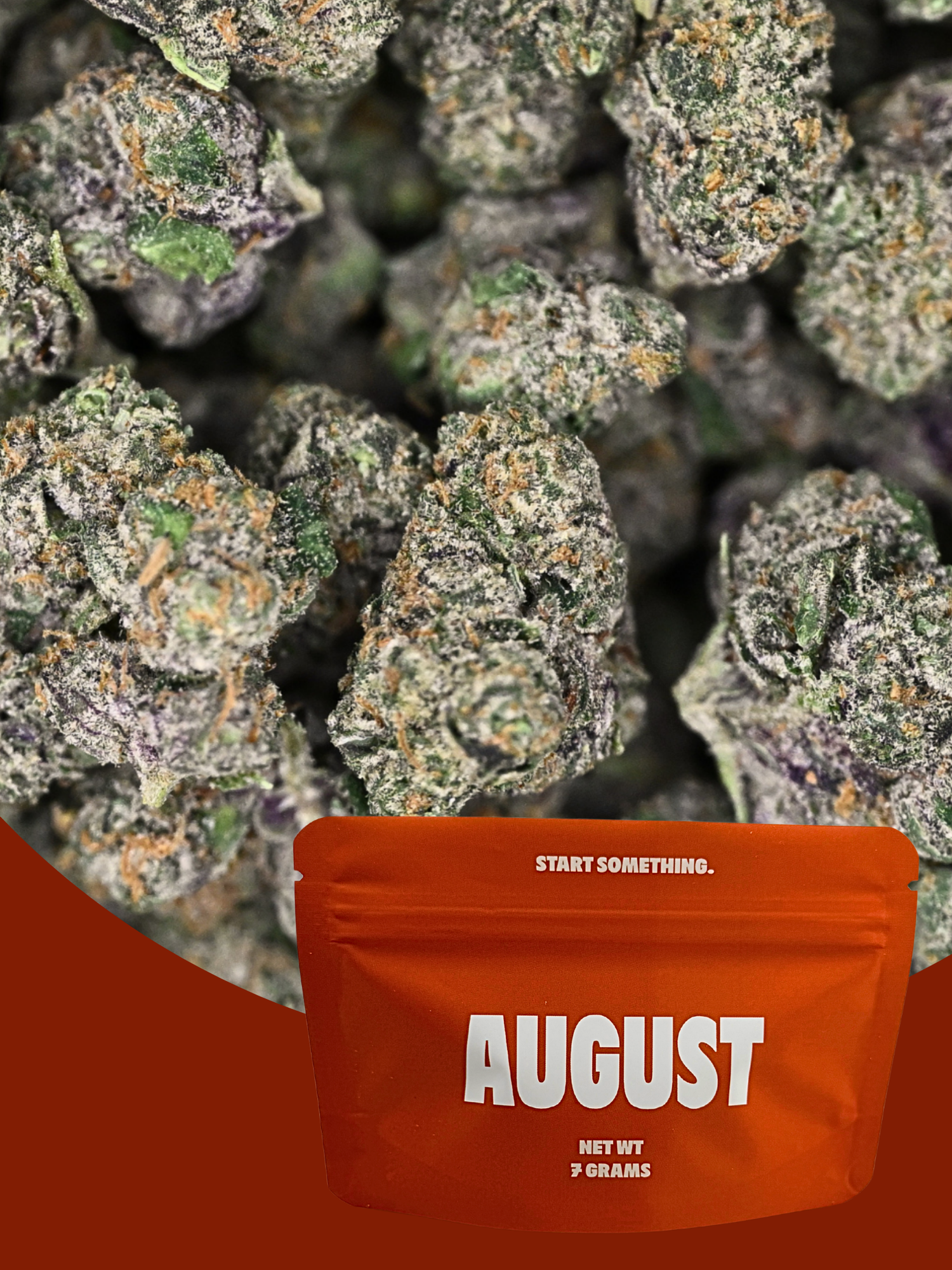 Electric Kool-Aid Exotic Smalls August Cannabis Club THCA Flower