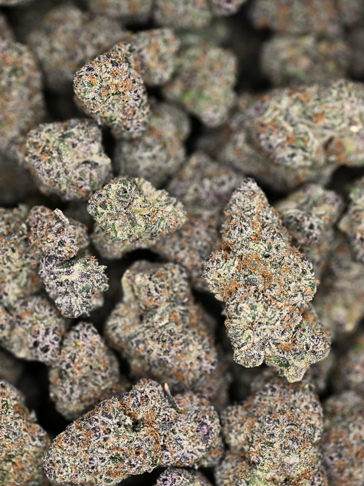 Exotic Skunk THCA Indoor Living Soil Flower Private Reserve