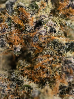 Exotic Skunk THCA Indoor Living Soil Flower Private Reserve