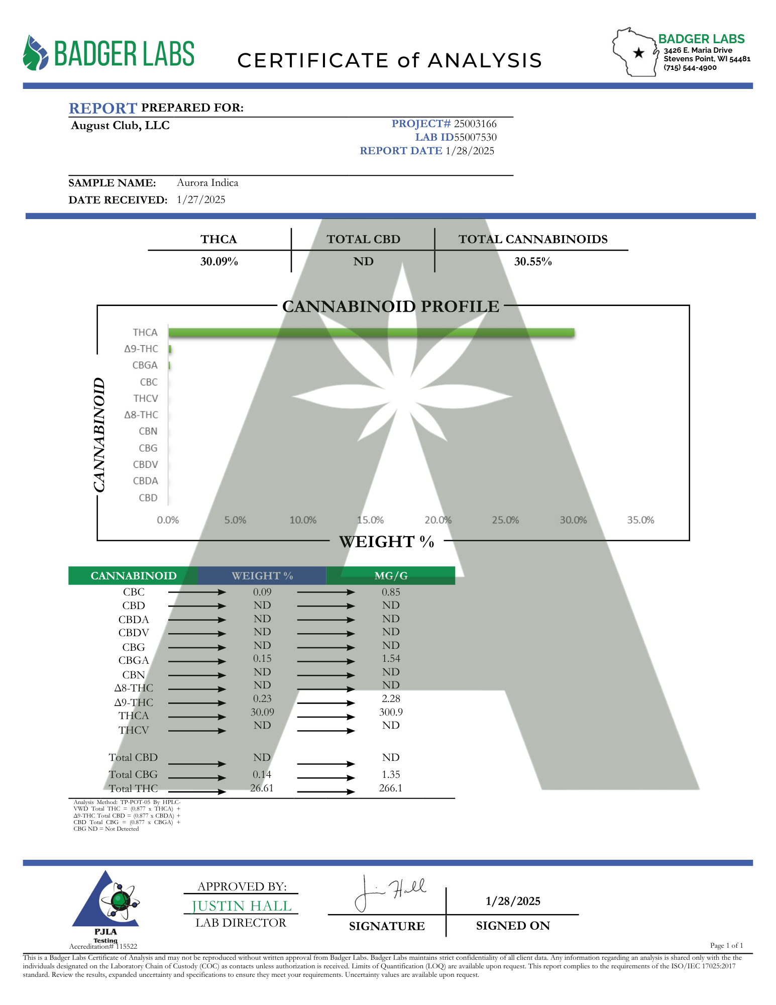 Aurora Indica