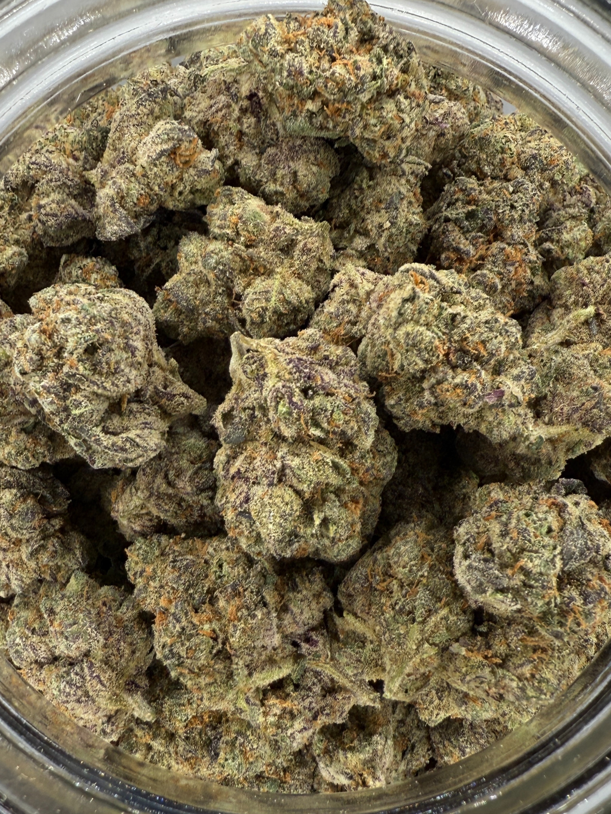 August Cannabis Club THCA Flower  G Force 