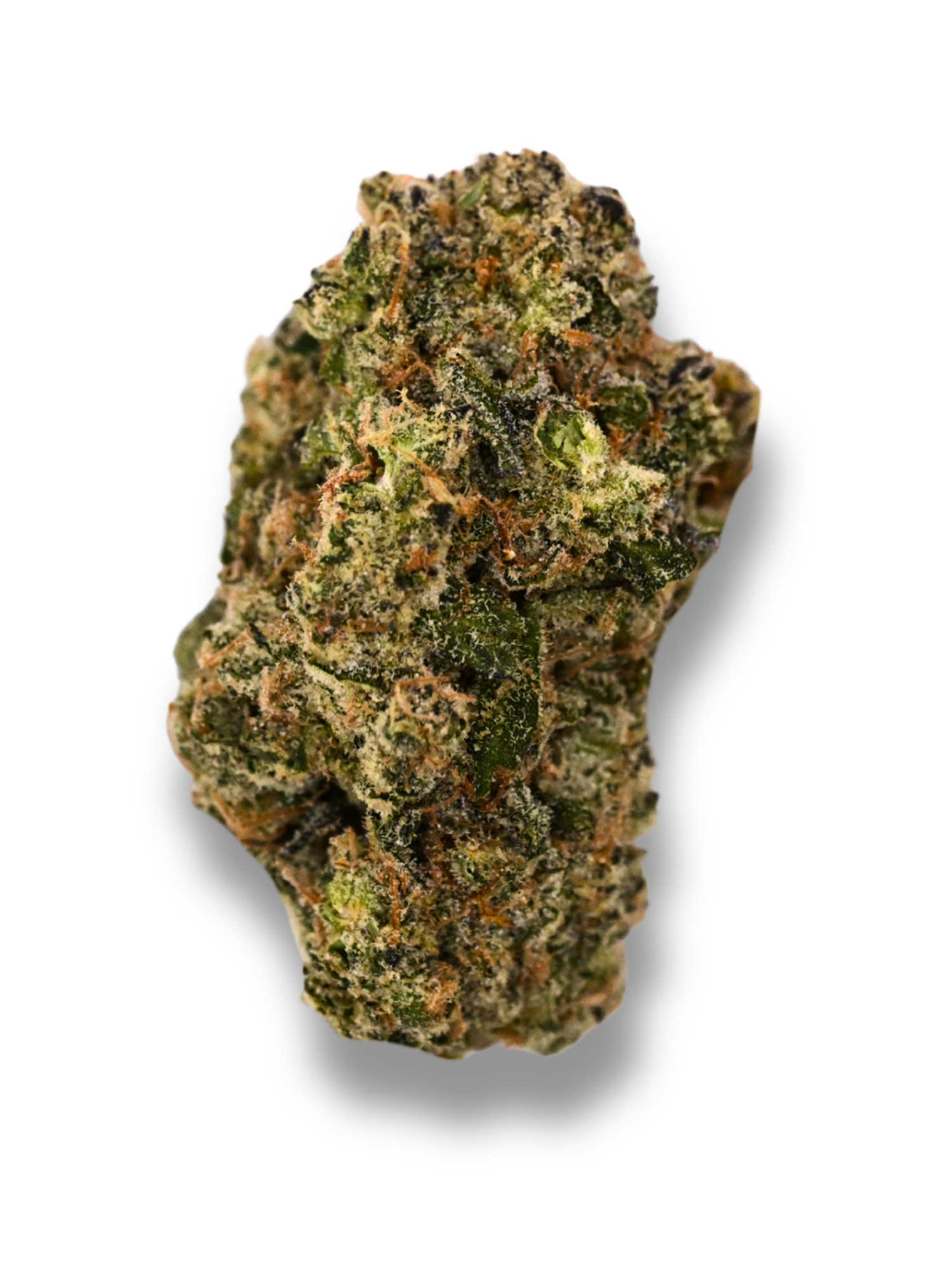 Galatic Gas Hybrid Indoor Living Soil August Cannabis Club THCA Flower