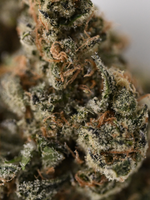 Galatic Gas Hybrid Indoor Living Soil August Cannabis Club THCA Flower