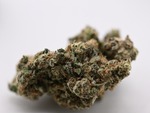 Galatic Gas Hybrid Indoor Living Soil August Cannabis Club THCA Flower