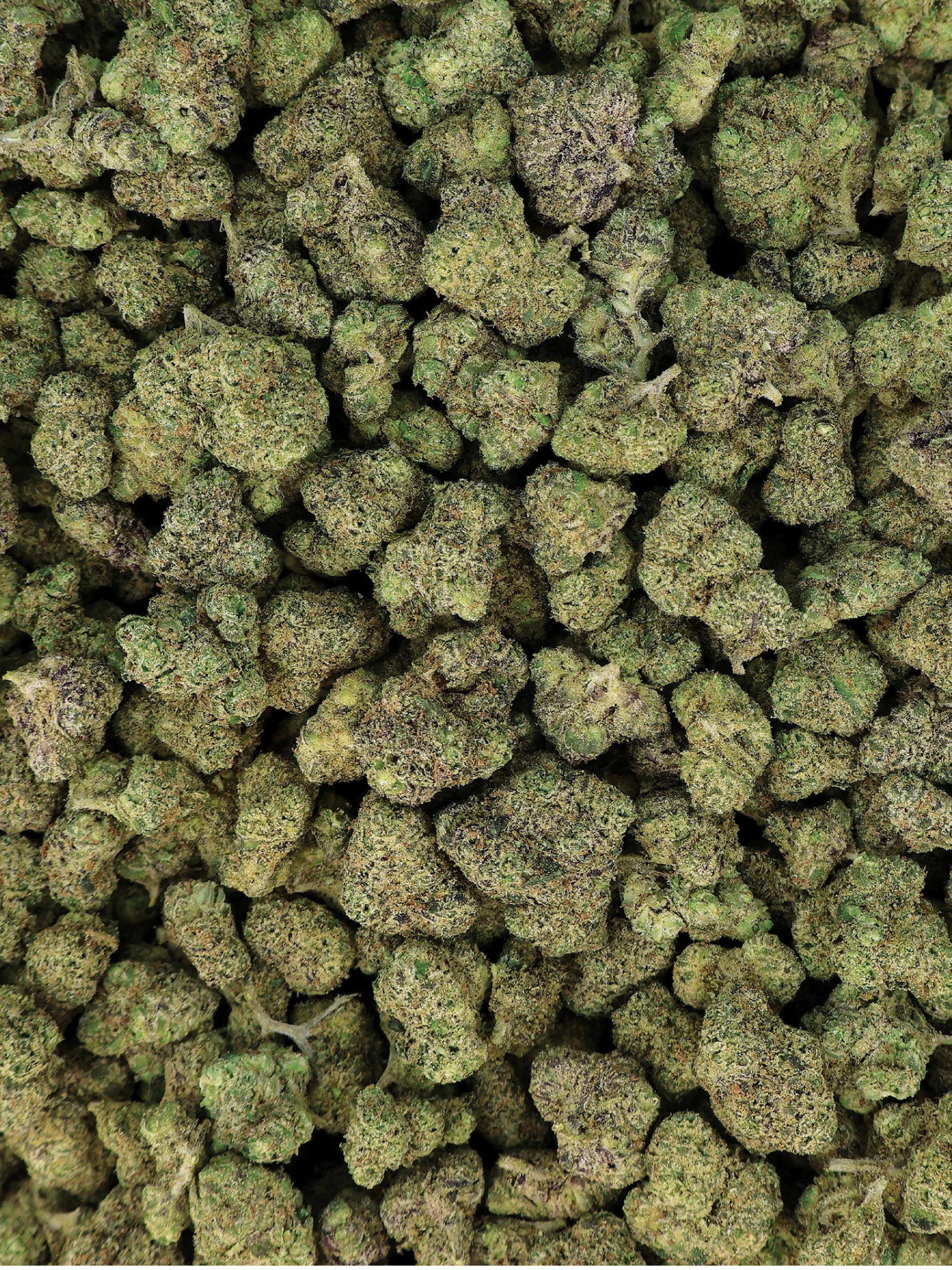 Ghost OG - Exotic Smalls