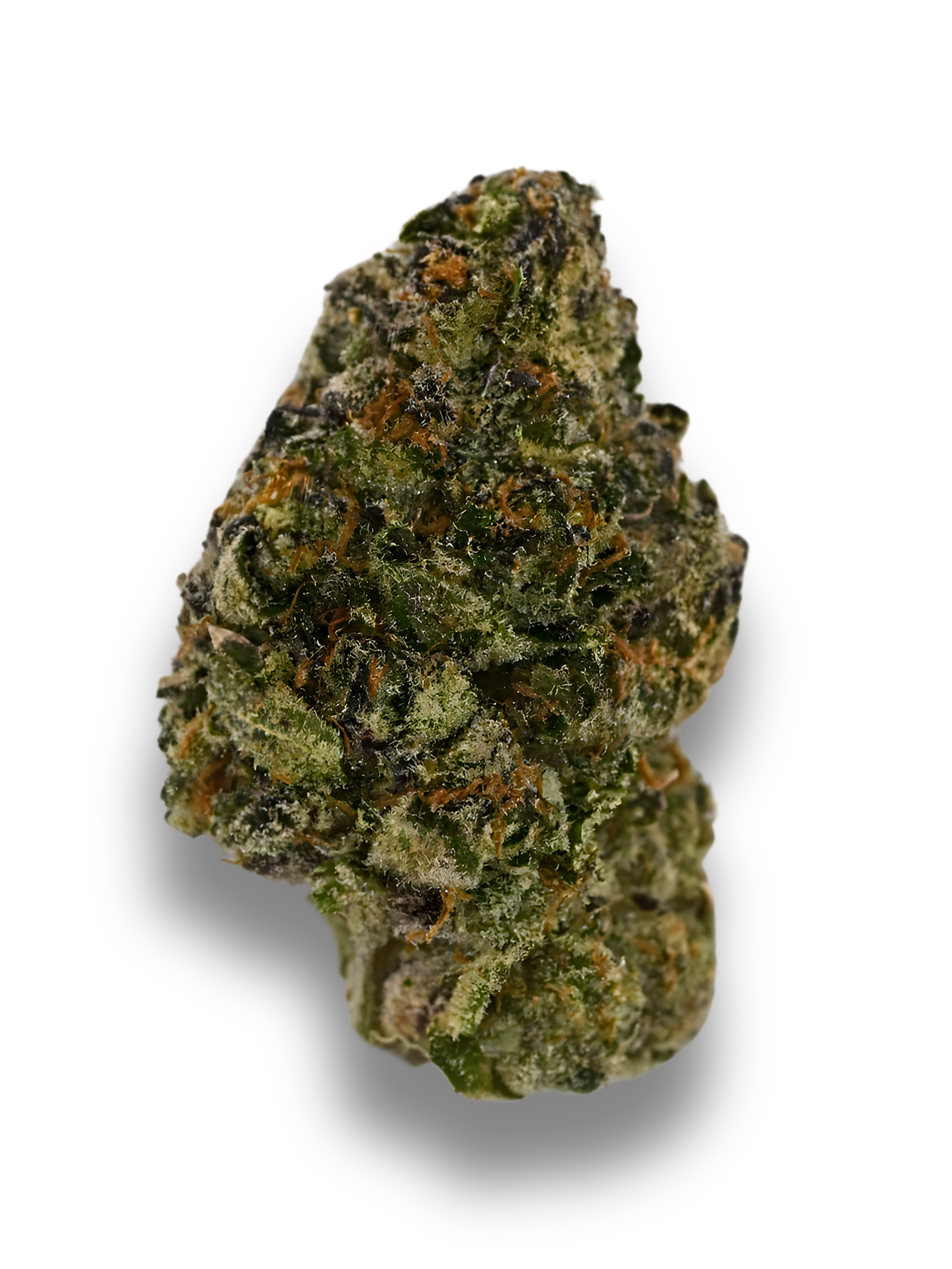 Giraffe Pussy Hybrid THCa flower with frosty green buds, orange pistils, and dense trichome coverage | August Cannabis Club