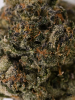Close-up of Giraffe Pussy Hybrid THCa flower showing crystal trichomes and bright orange hairs | August Cannabis Club