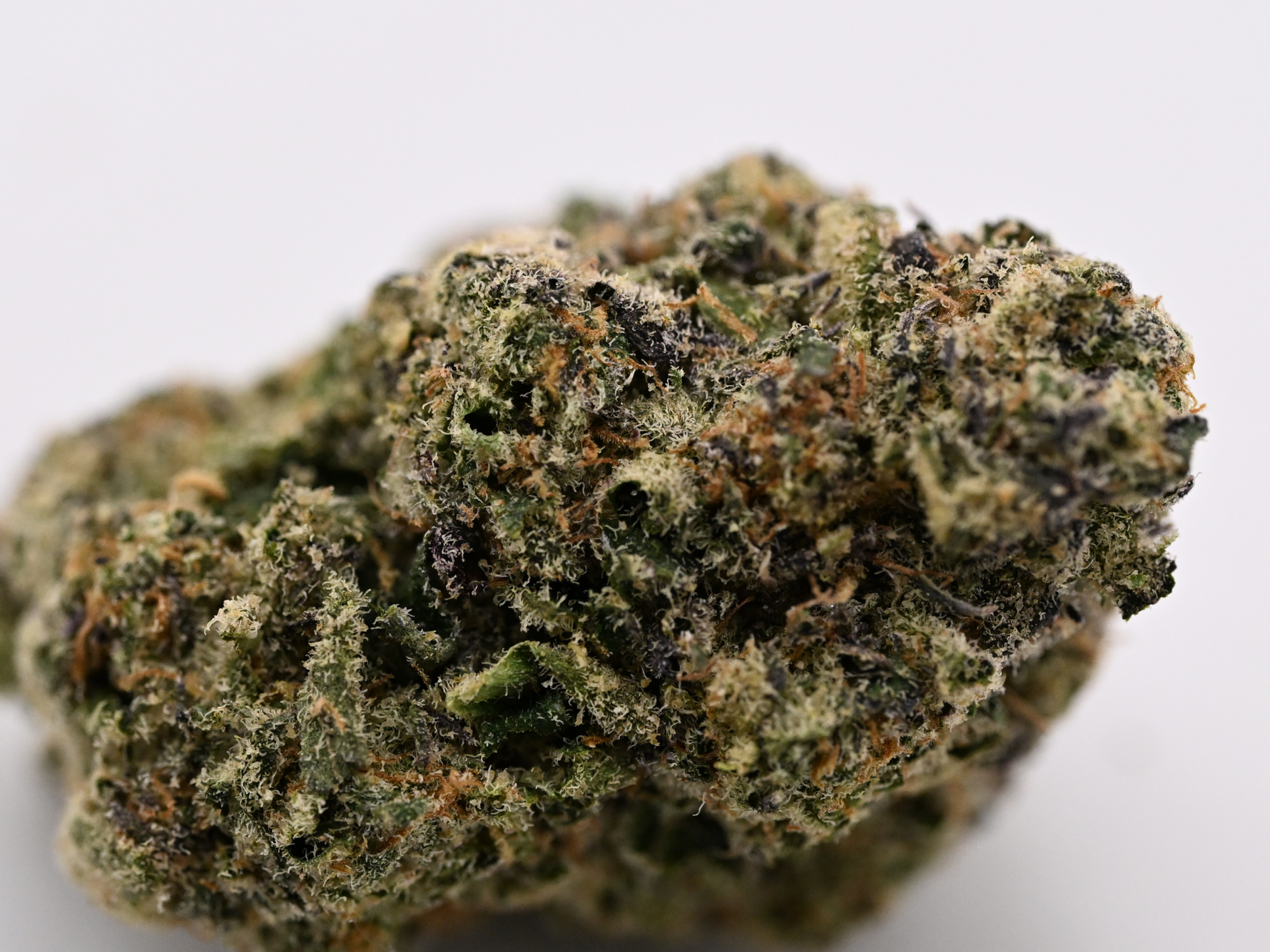 Giraffe Pussy Hybrid THCa flower with frosty green buds, orange pistils, and dense trichome coverage | August Cannabis Club