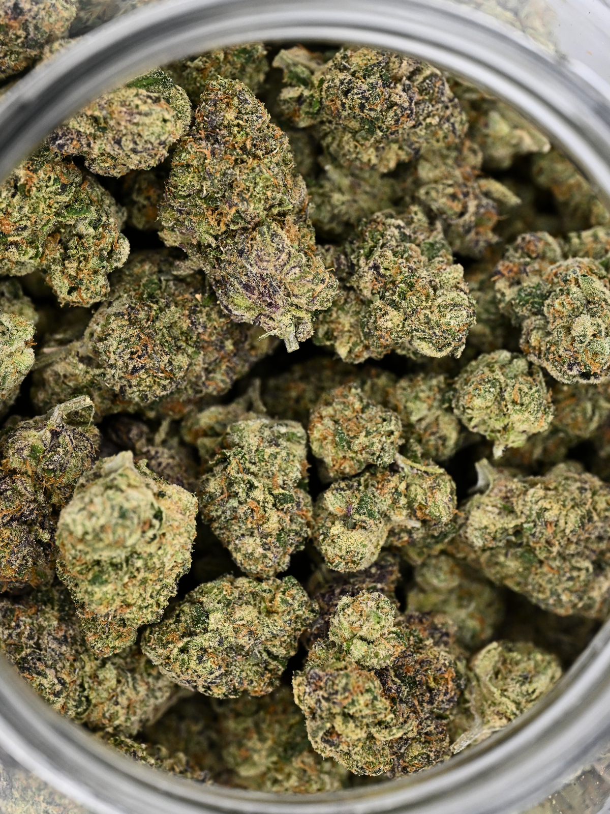 Close-up of Giraffe Pussy Hybrid THCa flower showing crystal trichomes and bright orange hairs | August Cannabis Club