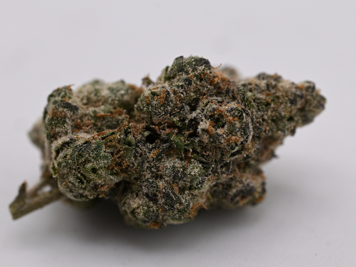 Headband August Cannabis Club Hybrid Living Soil THCA Flower