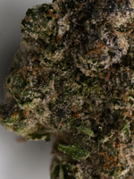 Headband August Cannabis Club Hybrid Living Soil THCA Flower