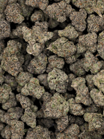 Headband August Cannabis Club Hybrid Living Soil THCA Flower