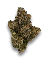 Headband August Cannabis Club Hybrid Living Soil THCA Flower