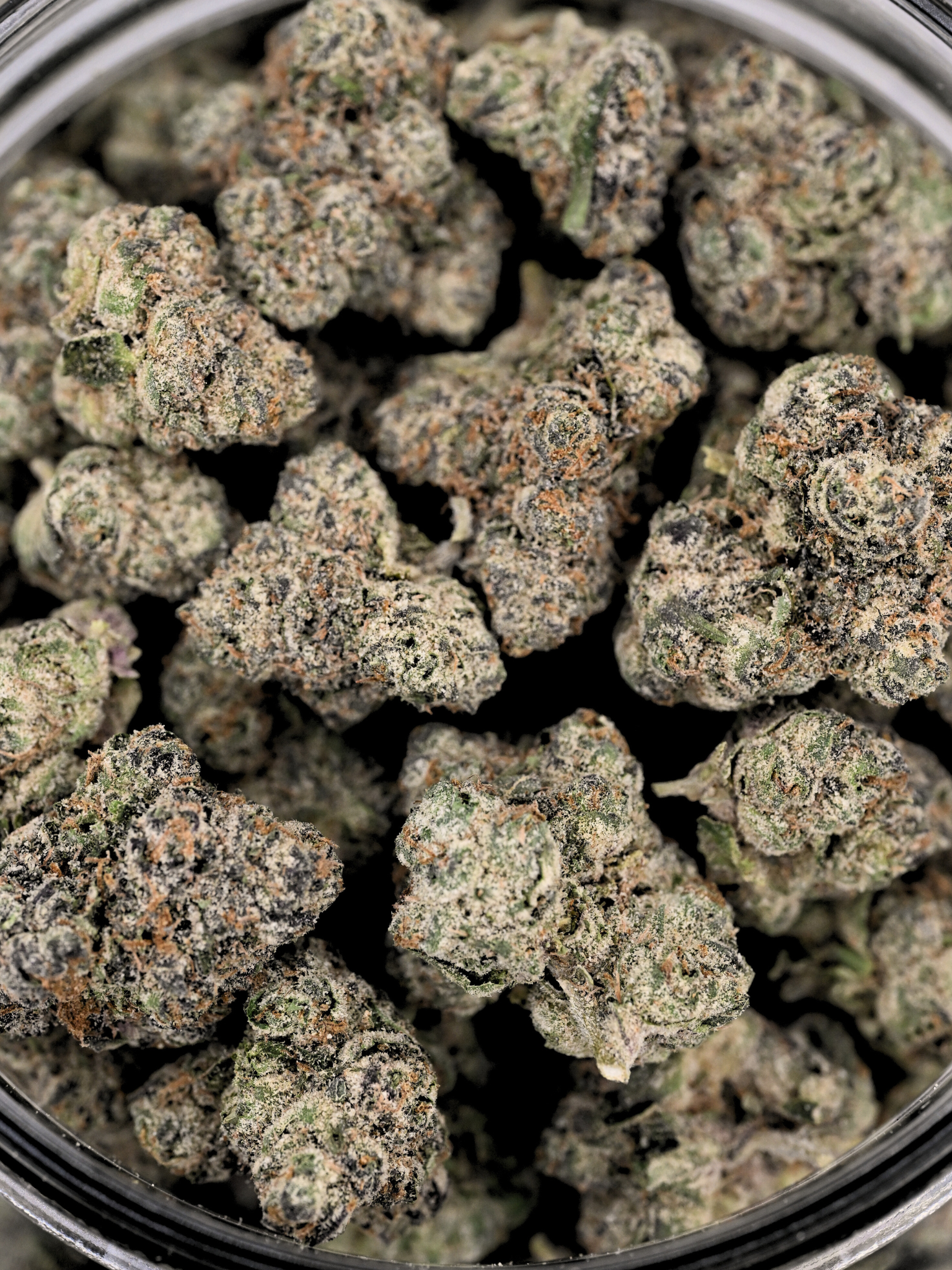 Headband August Cannabis Club Hybrid Living Soil THCA Flower