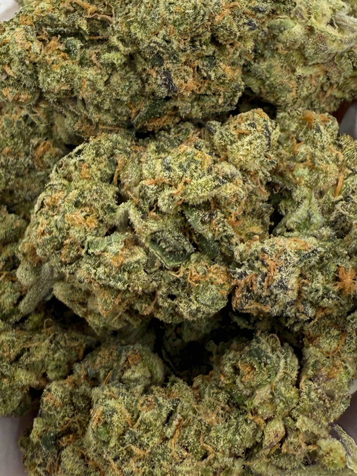 August Cannabis Club Hindu Kush THCA Flower 