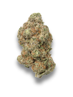 Hippie Crippler THCA Flower August Cannabis Club