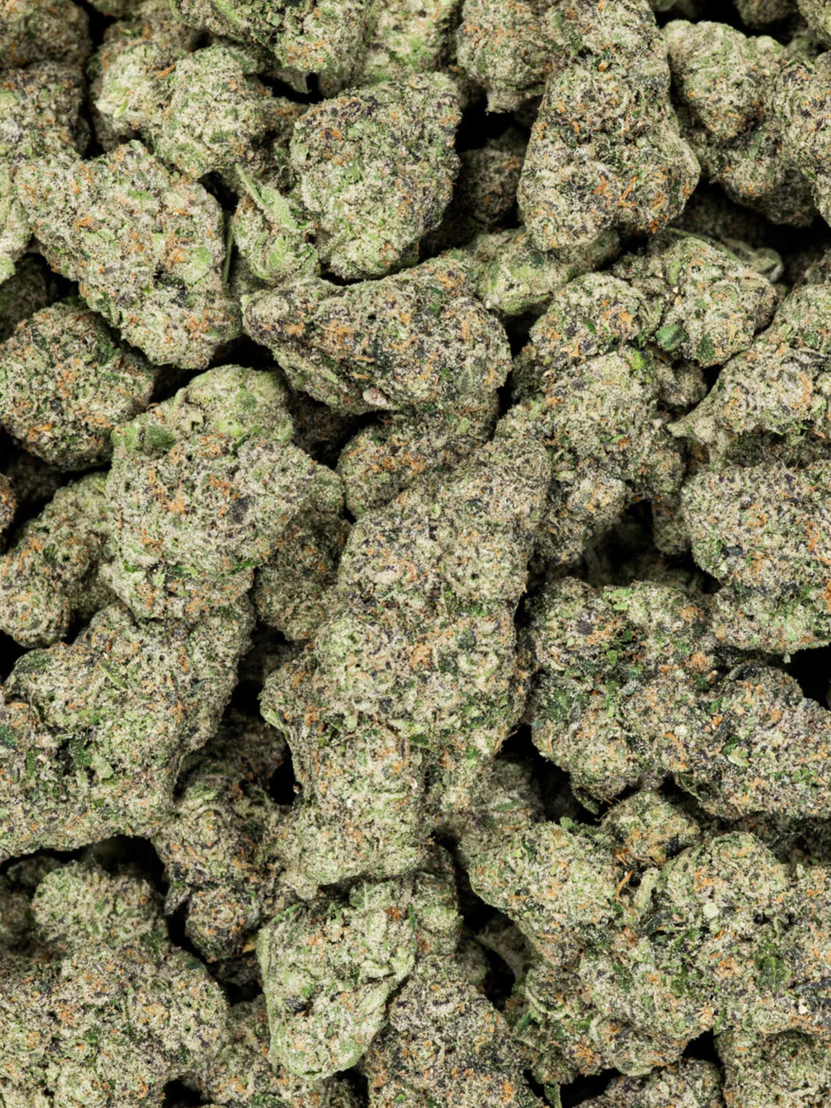 Hippie Crippler THCA Flower August Cannabis Club