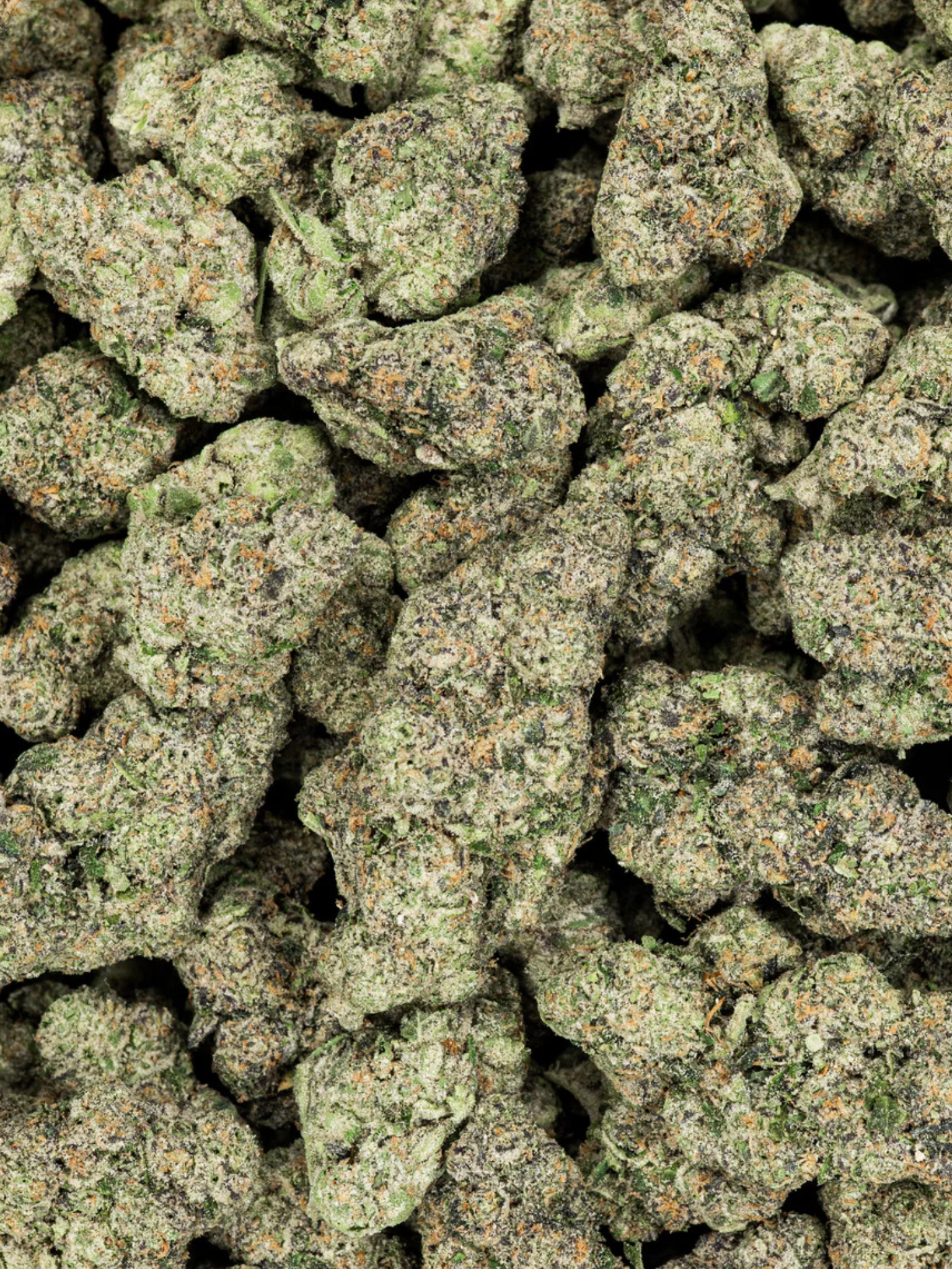 Hippie Crippler THCA Flower August Cannabis Club