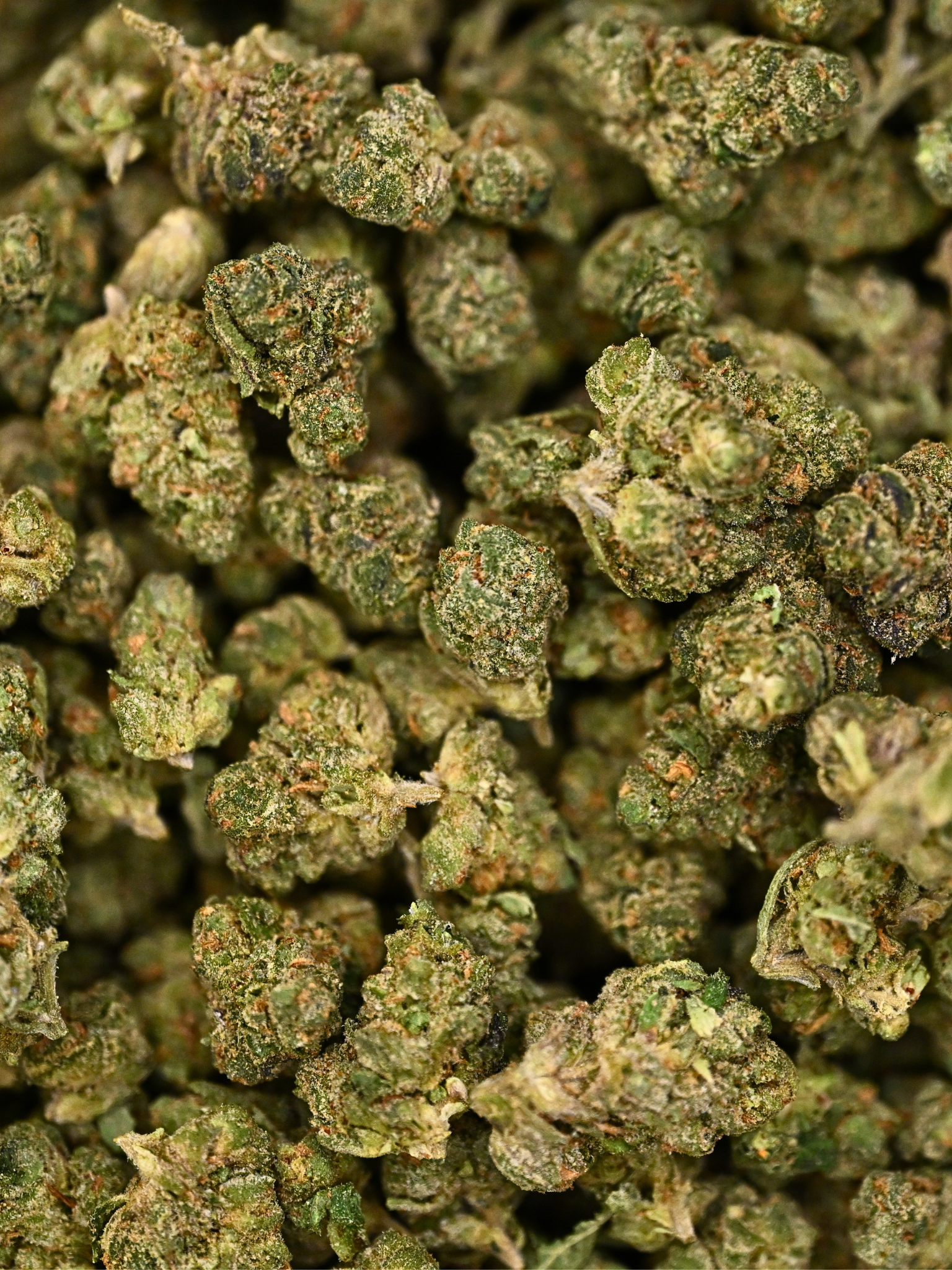 Close-up of Jack Herrer THCa Exotic Smalls showing crystal trichomes and bright orange hairs | August Cannabis Club