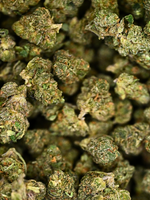Close-up of Jack Herrer THCa Exotic Smalls showing crystal trichomes and bright orange hairs | August Cannabis Club
