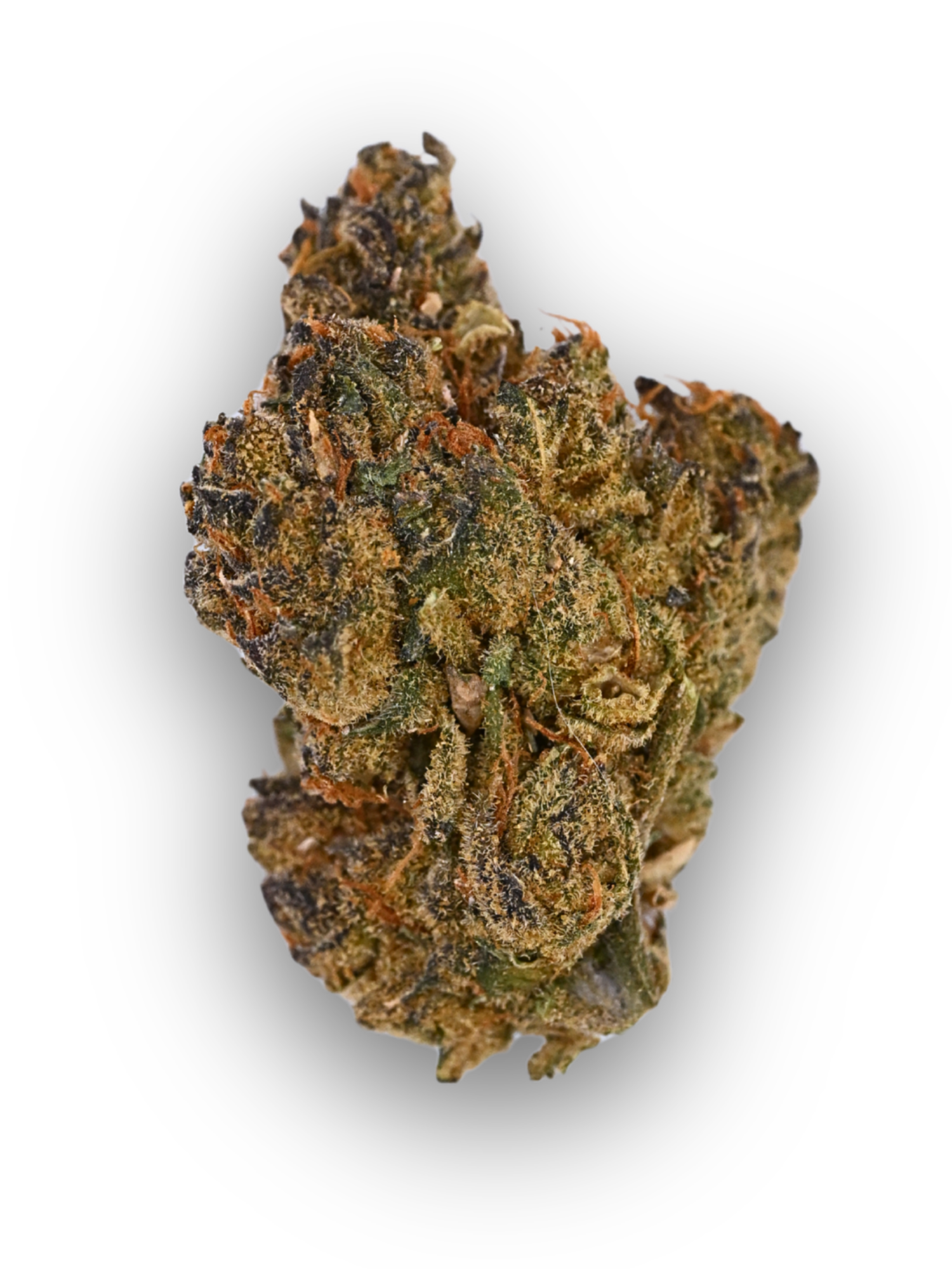 Jealousy Greenhouse Hybrid August Cannabis Club THCA Flower