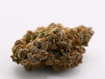 Jealousy Greenhouse Hybrid August Cannabis Club THCA Flower