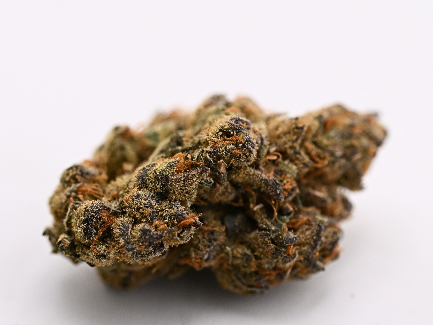 Jealousy Greenhouse Hybrid August Cannabis Club THCA Flower