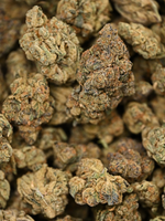 Jealousy Greenhouse Hybrid August Cannabis Club THCA Flower