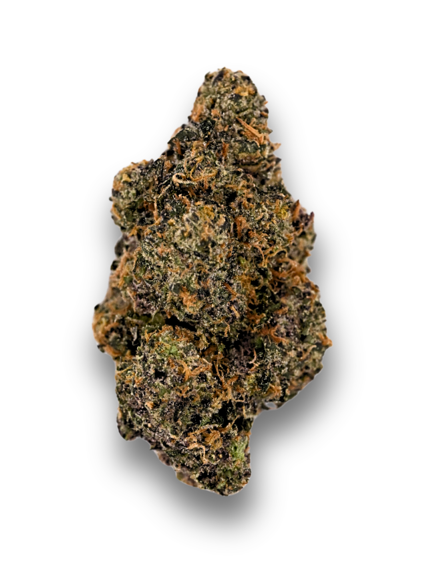 King Louis Exotic Indica August Cannabis Club THCA Flower