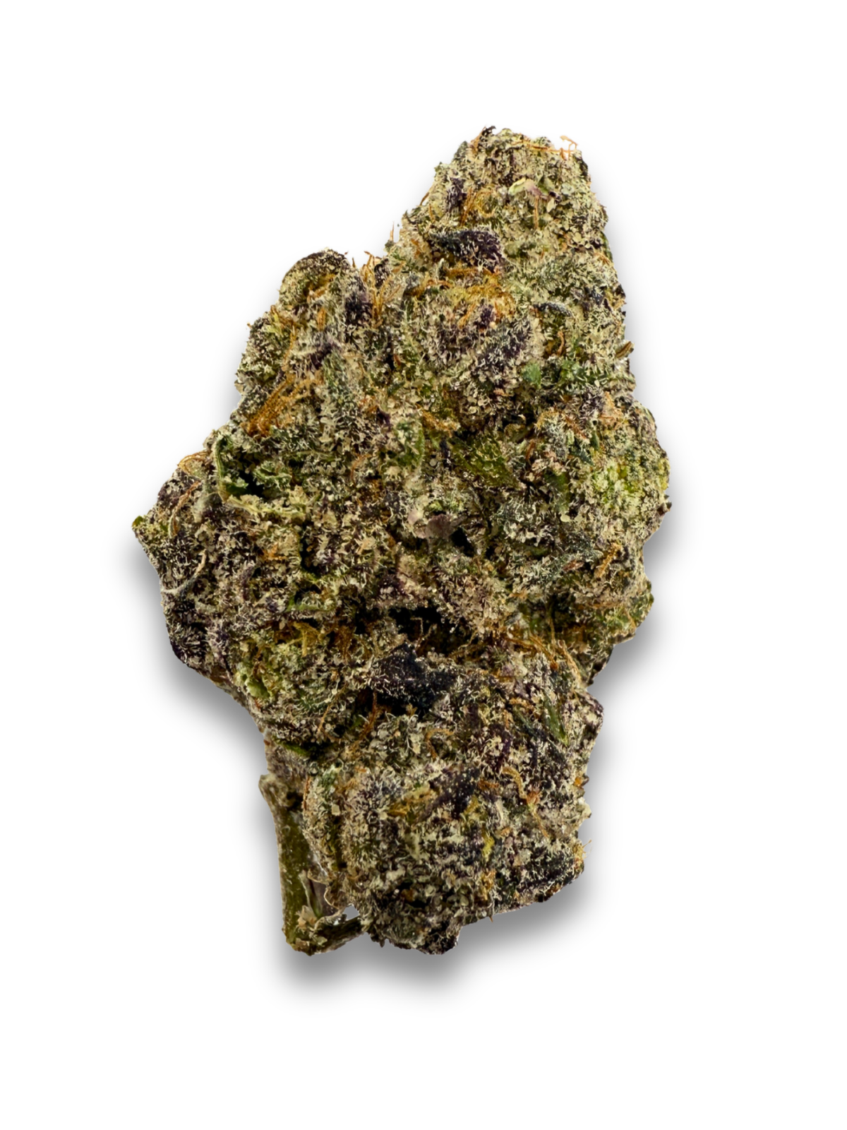 Lady Zaza THCA Flower August Cannabis Club Indica