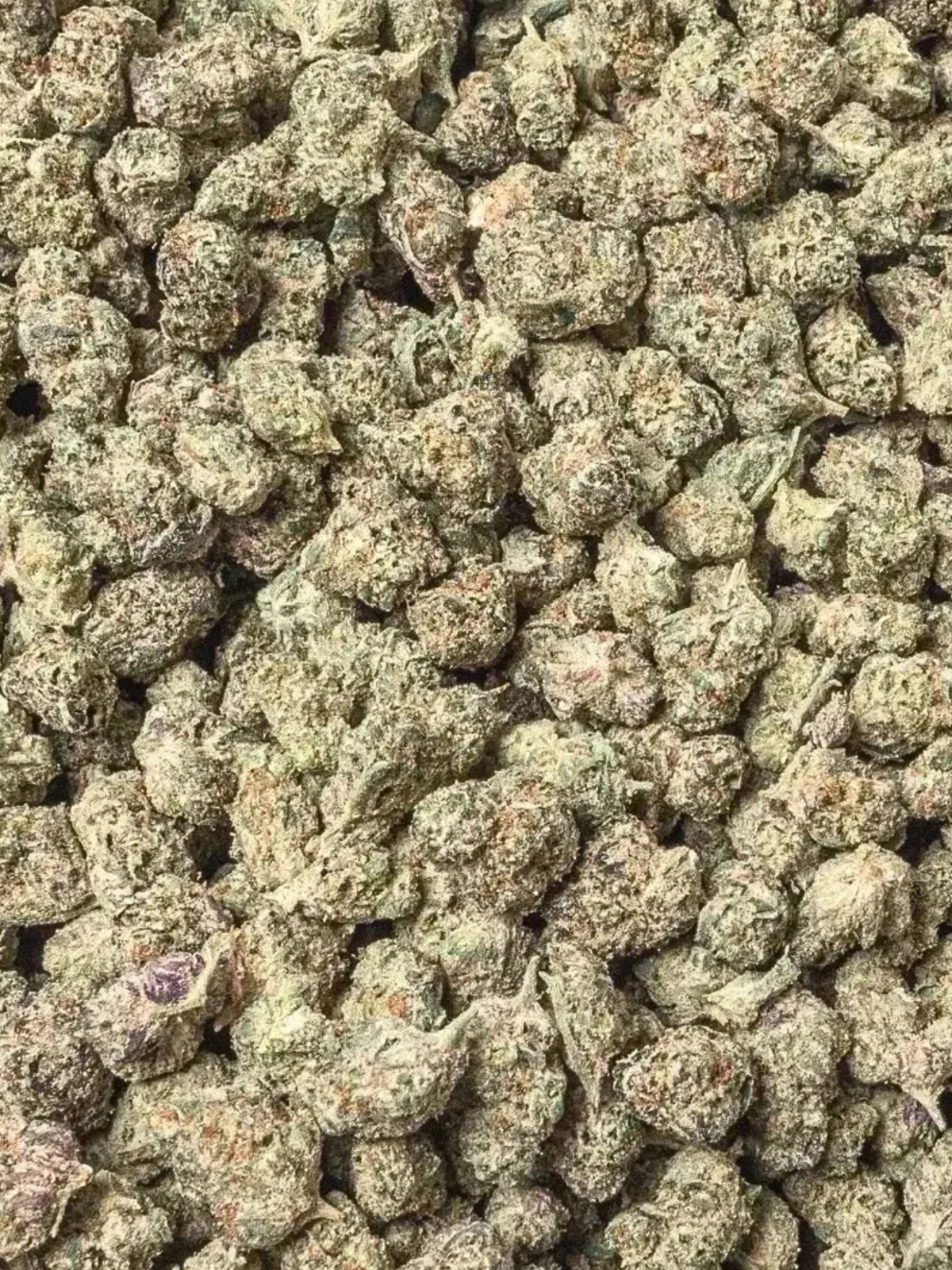 Lemon Gas Mask THCA Smalls August Cannabis Club