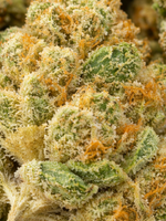 Lemonatti Exotic Smalls August Cannabis Club THCA
