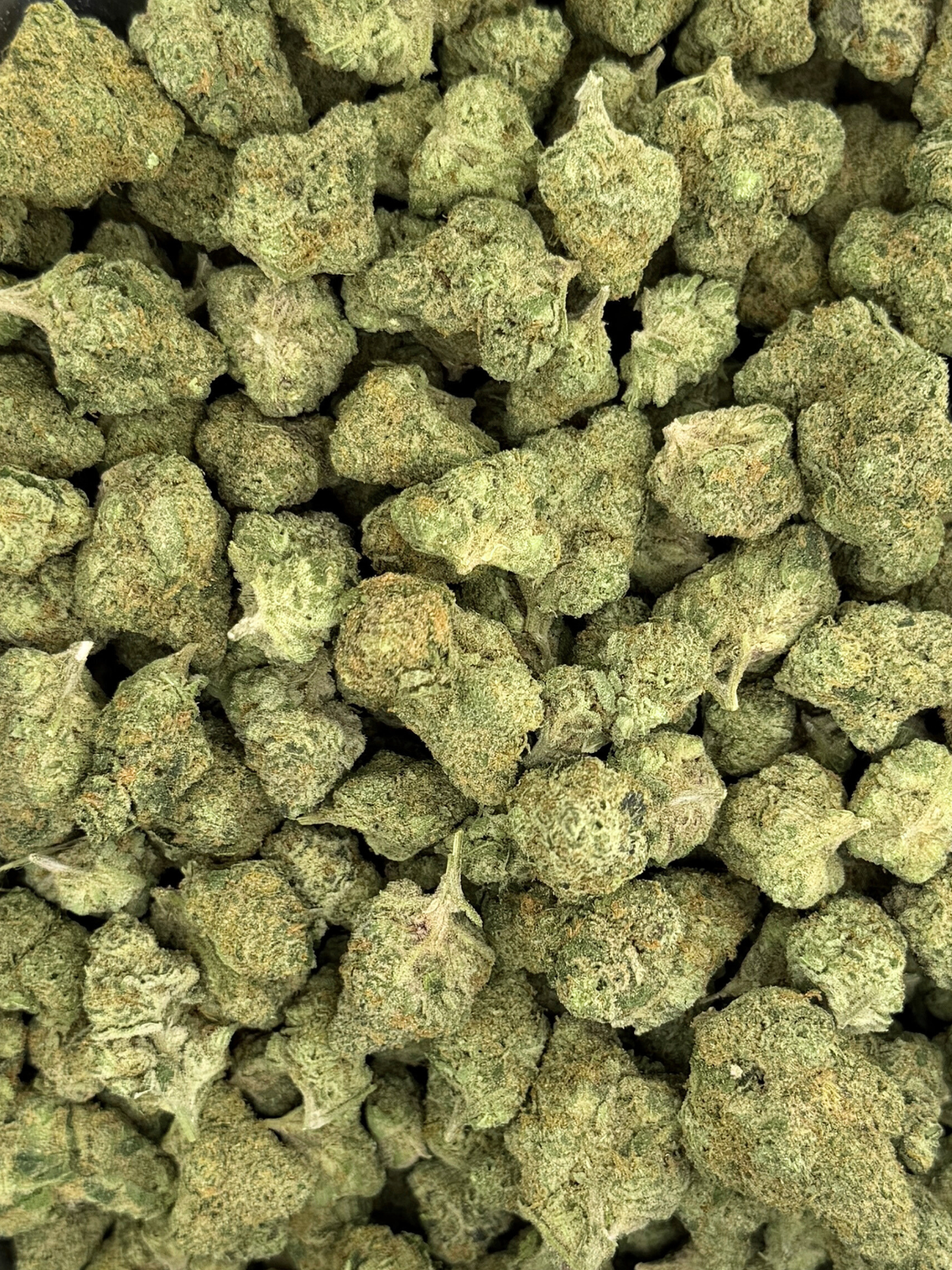 Lung Candy Exotic Smalls THCA Flower Hybrid August Cannabis Club