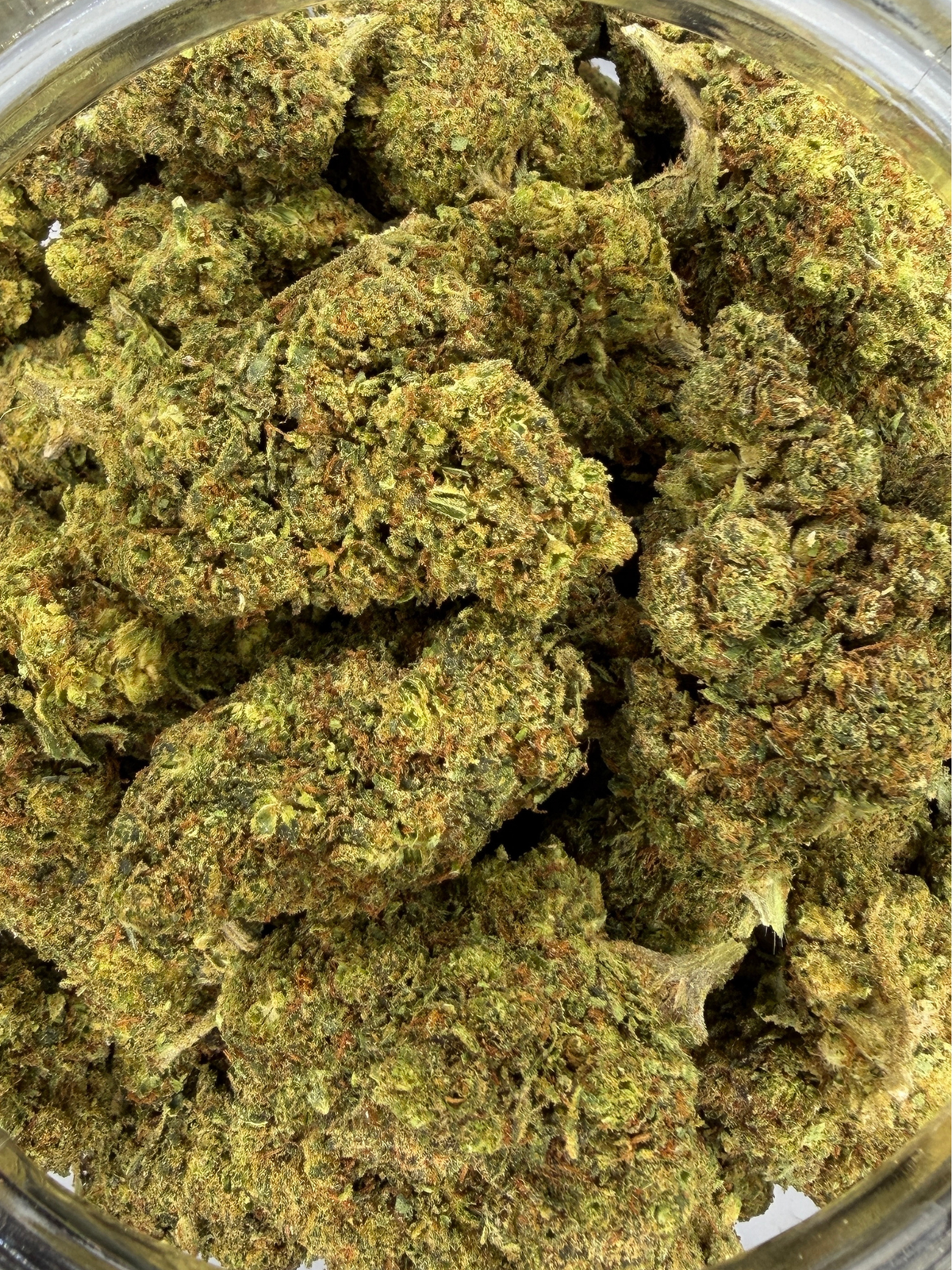 Mai Thai THCA Greenhouse Flower August Cannabis Club