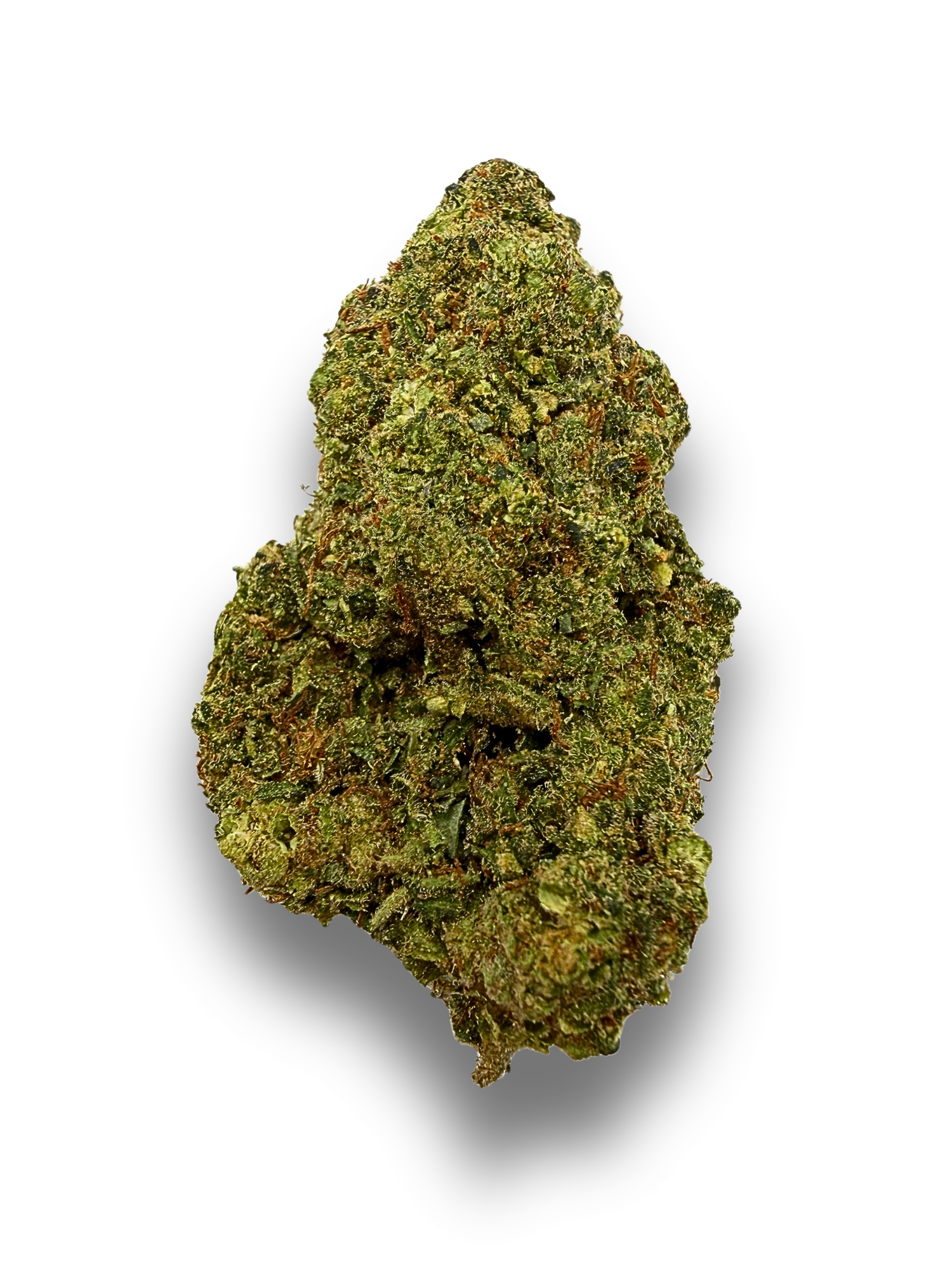 Mai Thai THCA Greenhouse Flower August Cannabis Club