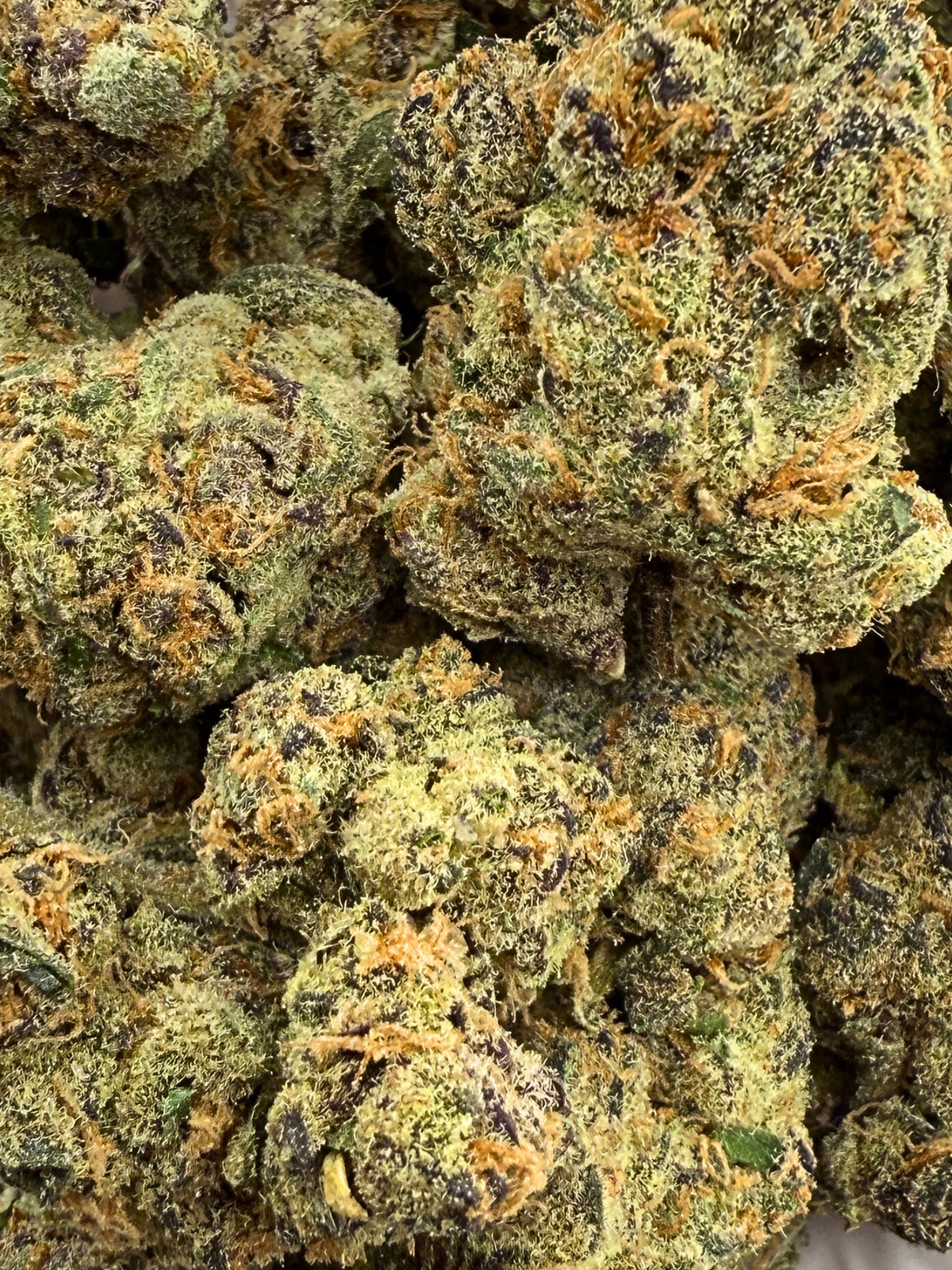 Mandarin Cookies THCA Flower Indoor Smalls August Cannabis Club