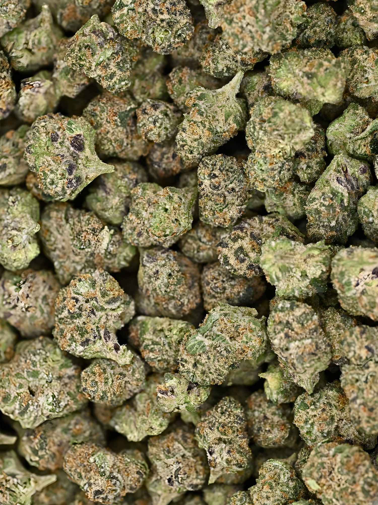 Mandarin Cookies THCA Exotic Smalls August Cannabis Club Sativa