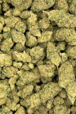 Midnight Phunk Greenhouse Indica THCa Flower August Cannabis Club