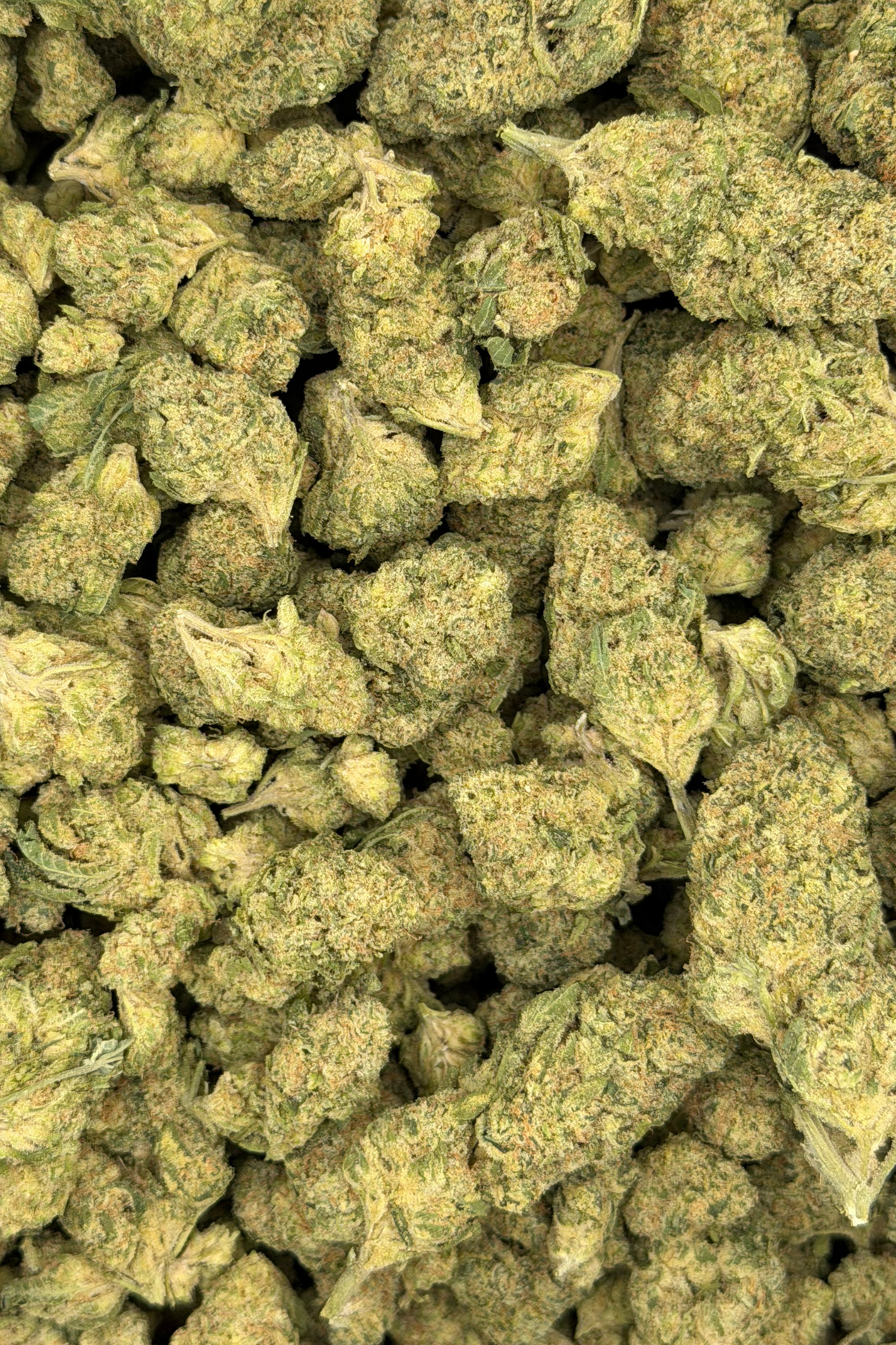 Midnight Phunk Greenhouse Indica THCa Flower August Cannabis Club