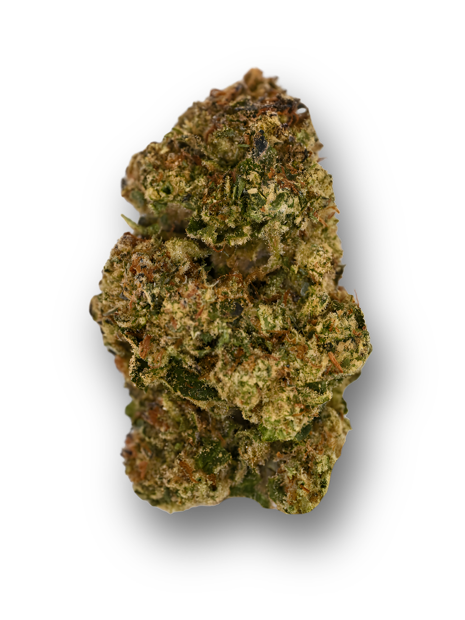 Motorbreath Greenhouse Indica August Cannabis Club THCA Flower