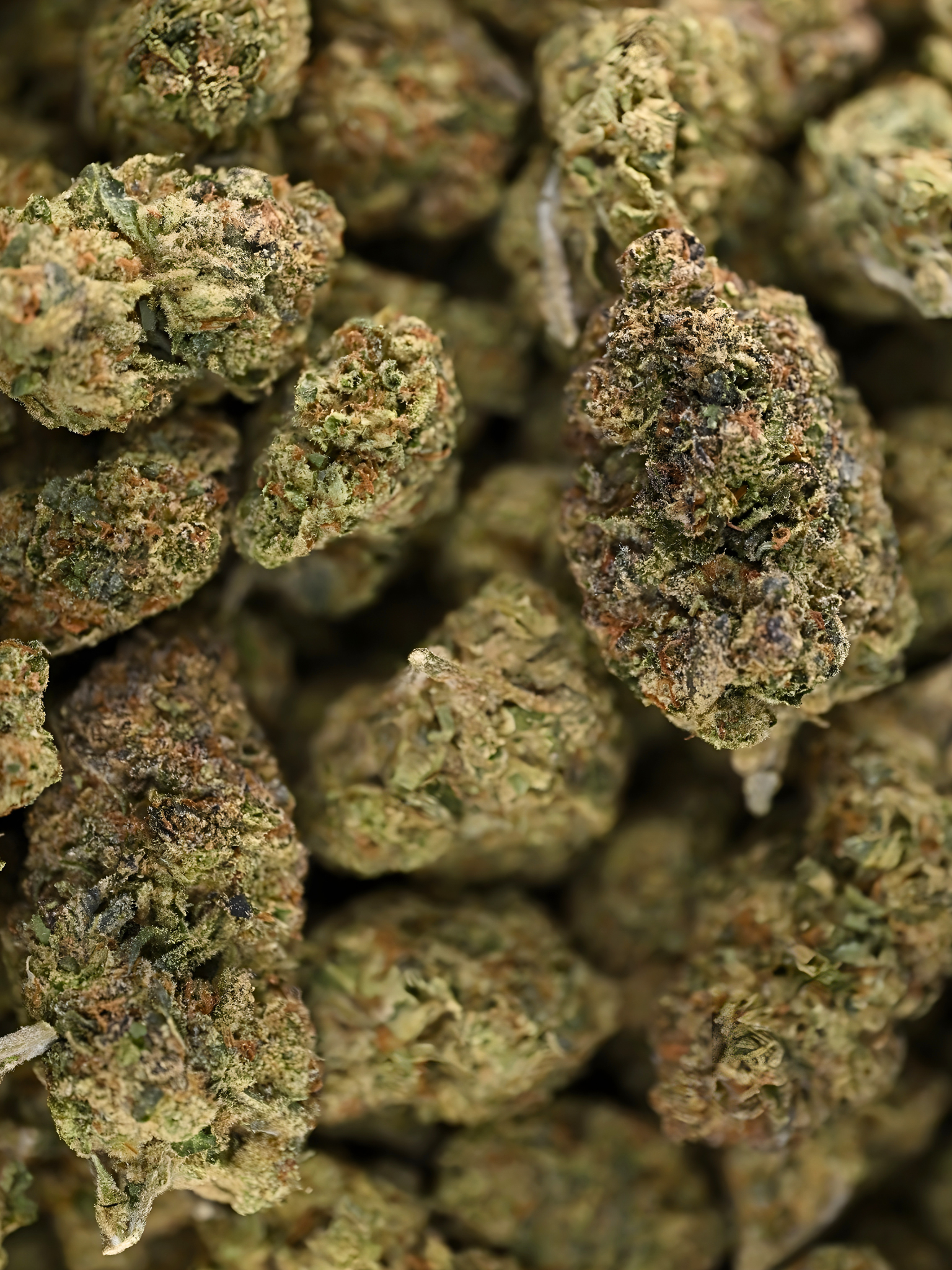 Motorbreath Greenhouse Indica August Cannabis Club THCA Flower