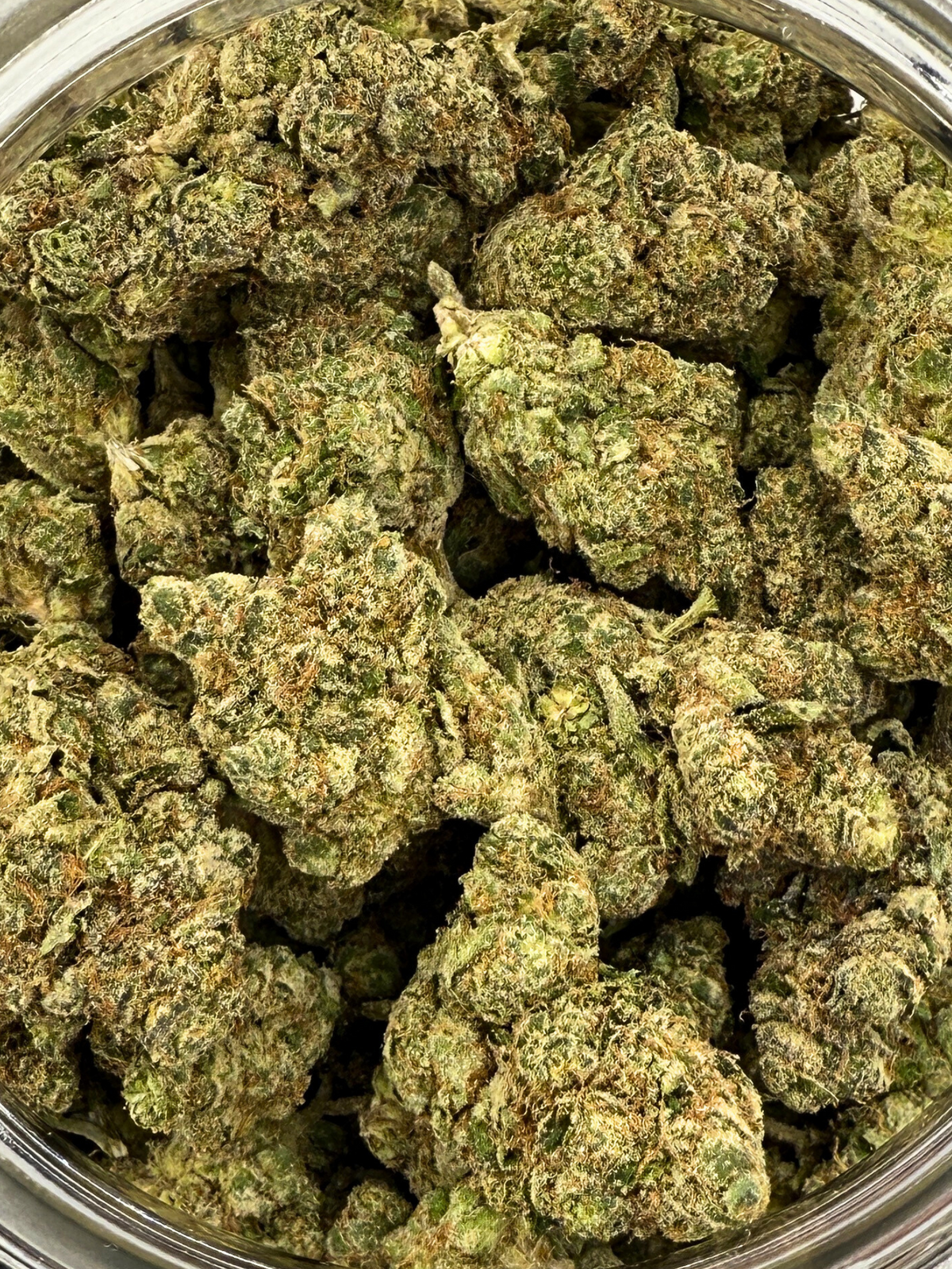 OG Kush THCA Flower August Cannabis Club Indoors Living Soil Closeup