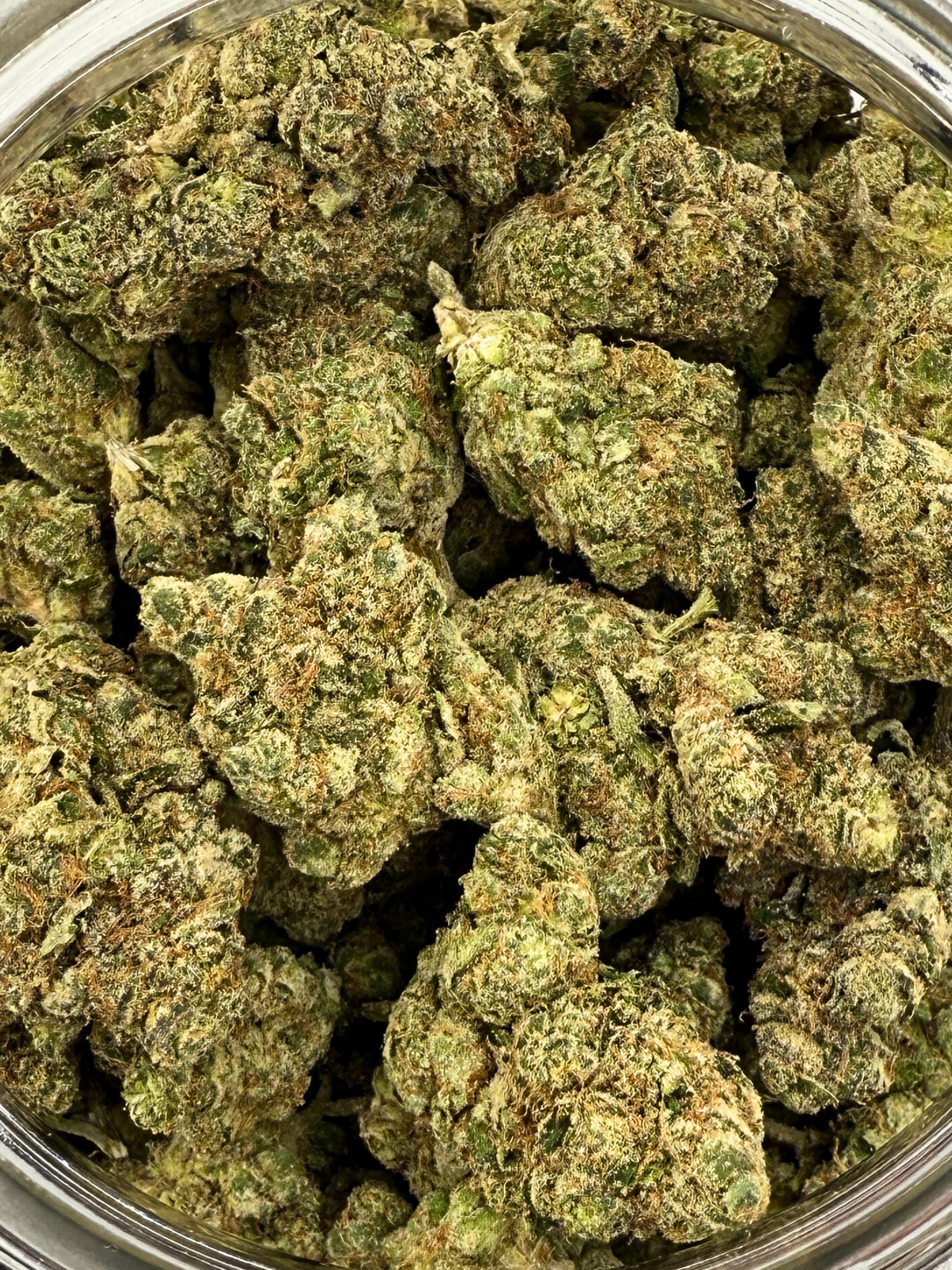 OG Kush THCA Flower August Cannabis Club Indoors Living Soil Closeup