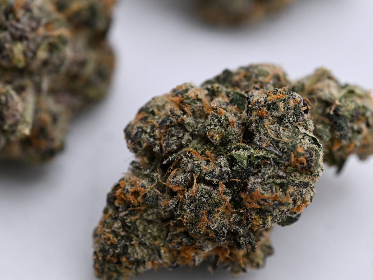 Orange Cookies August Cannabis Club Indoor Living Soil THCA Flower