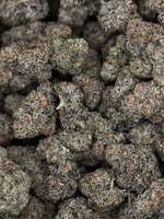 Orange Cookies August Cannabis Club Indoor Living Soil THCA Flower