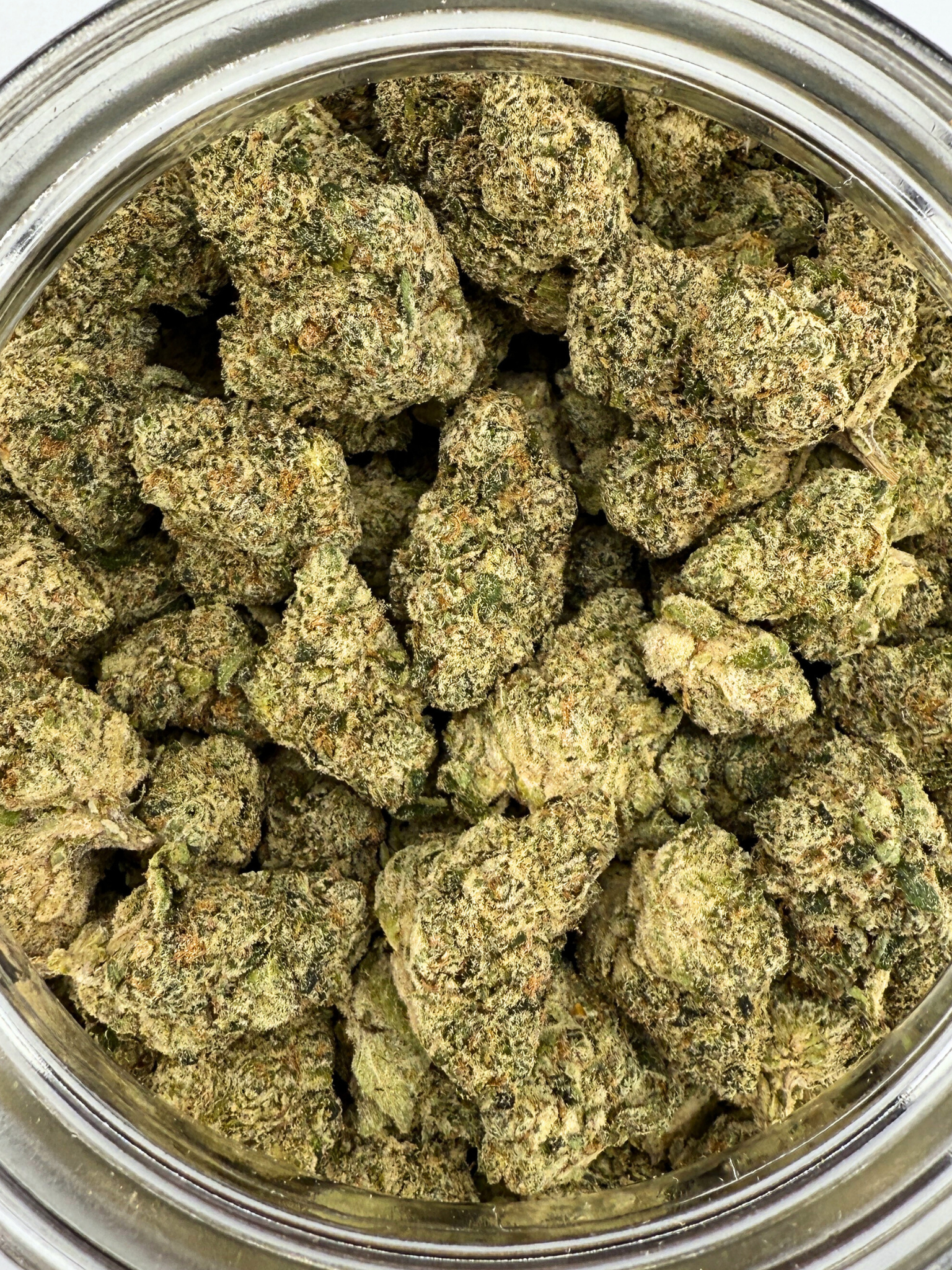 Orange Push Pop THCA Flower August Cannabis Club Indoors Living Soil Small Batch